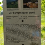 1 Sumpfringwall