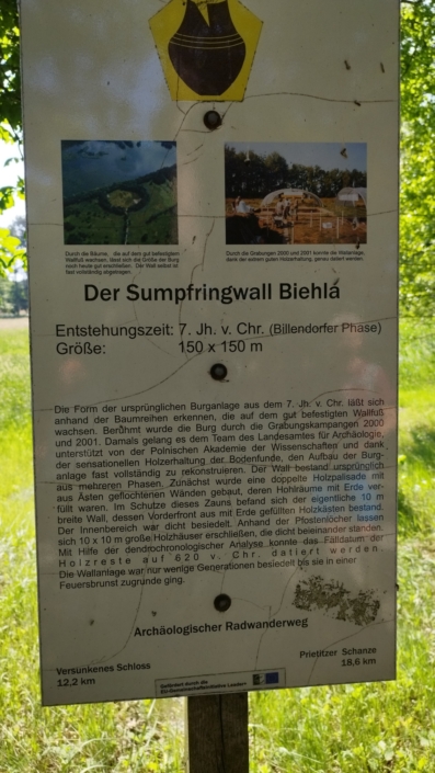 1 Sumpfringwall