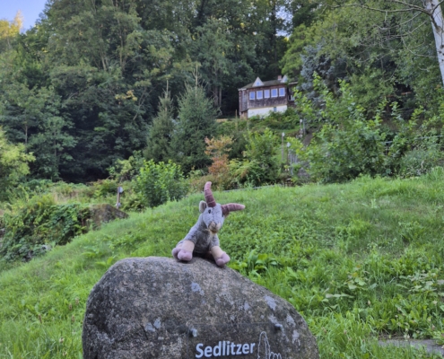 14. bis 16.08.2026_Capra Ibex auf der Sedlitzer Hütte Nr.4 2026_Foto Philipp Liebscher